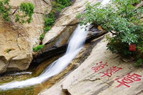 (乡村行·看振兴)江西彭泽:推动花卉规模化种植 鲜花铺就百姓致富路